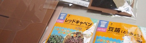 花くらす*野菜くらす スプラウト栽培セット 箱